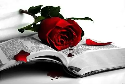 Rose on a book - love poems metaphor
