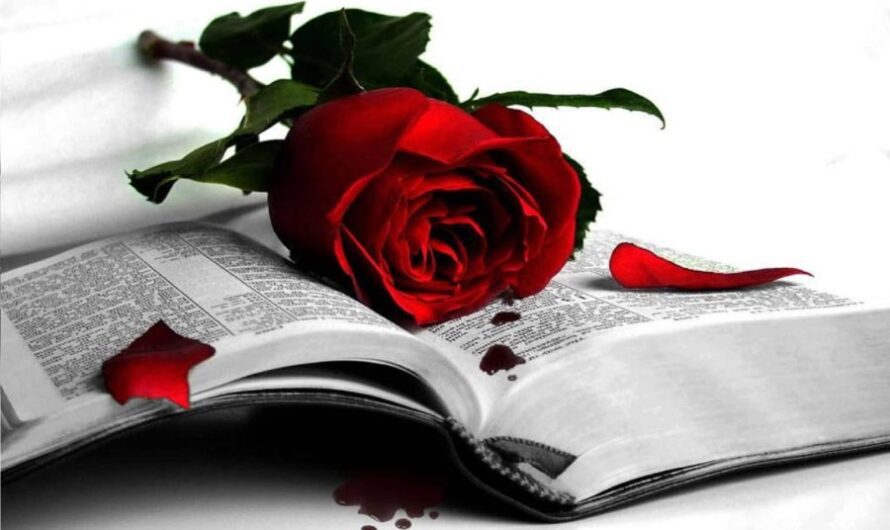 Love Poems – Rhyming Love Verses For Her