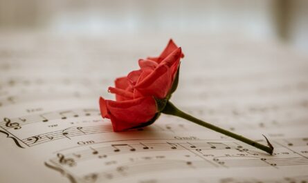 Sound Devices in Poetry: alliteration, assonance, consonance, cacophony, and onomatopoeia
