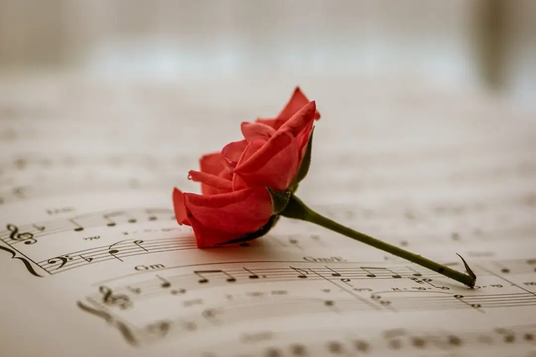 Sound Devices in Poetry: alliteration, assonance, consonance, cacophony, and onomatopoeia